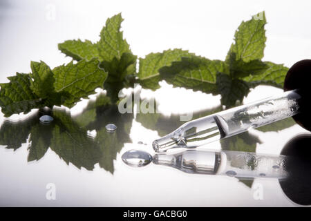 mint leaf and water droplet with pipette Stock Photo