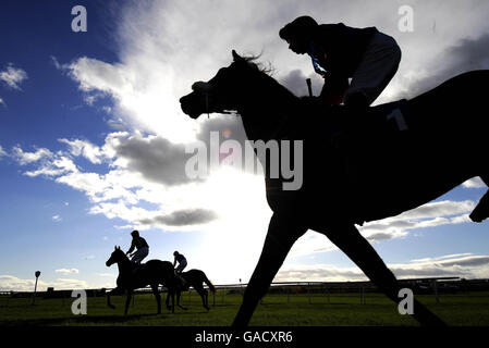 The last few days of the flat Racing season and runners in the opening race wait to enter the starting stalls at Catterick Racecourse, Catterick. Stock Photo