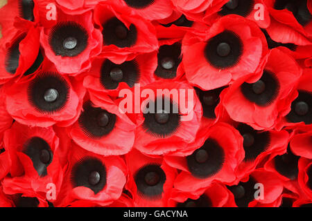 A display of poppies at the launch of the Scottish Poppy Appeal 2007 at Lady Haig's Poppy Factory, Logie Green Road, Edinburgh, Scotland. Stock Photo