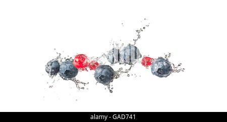 Blueberries and red currants splashing water, isolated on withe backgroud Stock Photo