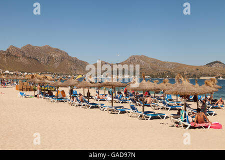 People sunbathing on Puerto Pollensa beach, Majorca ( Mallorca ), Balearic Islands, Spain Europe Stock Photo