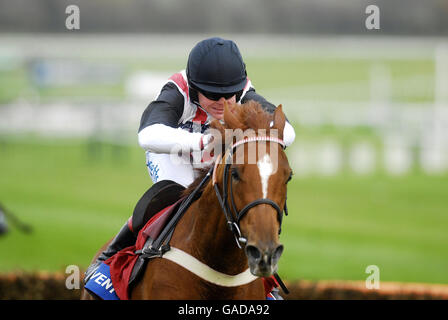 Horse Racing - Cheltenham Racecourse. Robert Thornton on Franchoek kicks clear to win The Cleanevent Juvenile Novices' Hurdle Race at Cheltenham Racecourse. Stock Photo