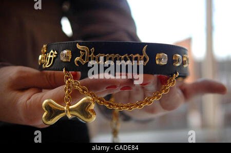 Diamond and Gold Dog Collar Photocall - London Stock Photo