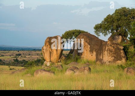 Rocky scenery in Northern Serengeti National Park, Tanzania