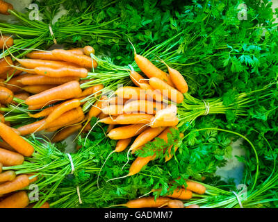 A bunch of carrots sold at the Old Strathcona Farmers' Market in Edmonton, Alberta, Canada. Stock Photo