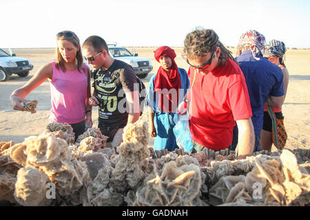 Tourists buying desert rose souvenirs at tourist stop at camel head rock, one of the tourist stops in Ong Jemel, Tozeur,Tunisia. Stock Photo