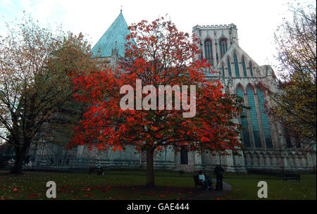 Autumn weather Stock Photo