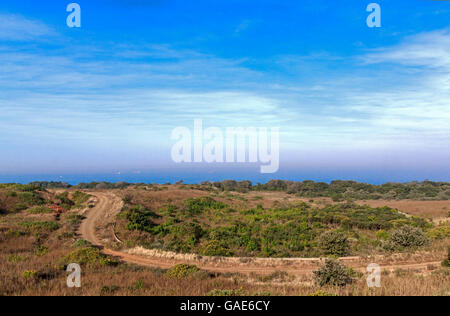 Coastal dirt road winding through natural vegetation towards ocean, skyline and overcast misty blue sky Stock Photo