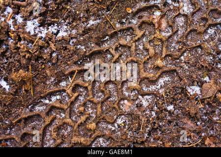 Tire track on a dirt road Stock Photo