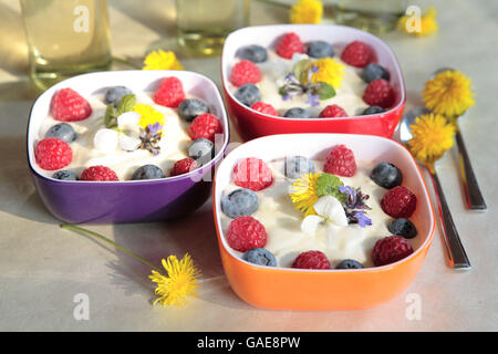 Yoghurt cream with berries Stock Photo