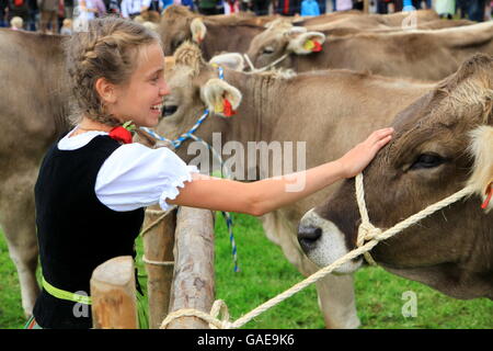 Girl wearing traditional costume stroking a cow during Viehscheid, separating the cattle after their return from the Alps Stock Photo