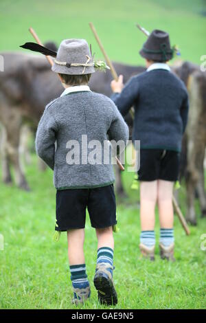 Boys wearing traditional costume during Viehscheid, separating the cattle after their return from the Alps, Thalkirchdorf Stock Photo