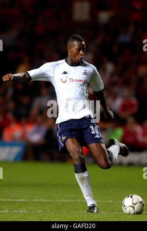 Soccer - FA Barclaycard Premiership - Charlton Athletic v Tottenham Hotspur. Anthony Gardner, Tottenham Hotspur Stock Photo