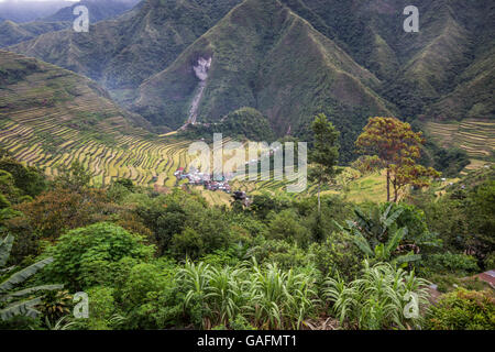 Batad rice terraces have an amphitheatre semi-circular quality with a ...