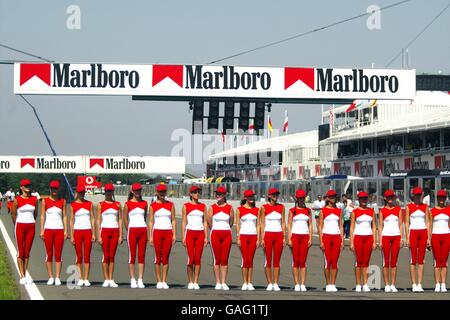 Formula One Motor Racing - Hungarian Grand Prix - Race Stock Photo