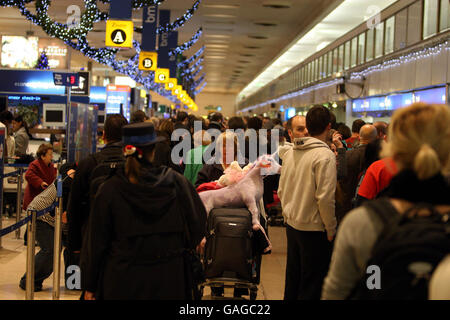 Passengers queue in Heathrow Airport's Terminal 1 after thick fog caused numerous flight cancellations. Stock Photo