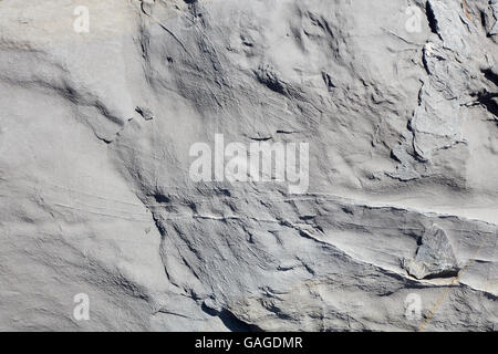 Gray stone texture background in sunlight Stock Photo