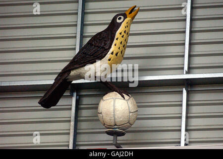 Soccer - FA Barclaycard Premiership - West Bromwich Albion v Sunderland. Throstle, West Bromwich Albion Stock Photo