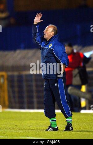 Northern Ireland's coach Sammy Mcllroy urges his side on Mcilroy Stock Photo