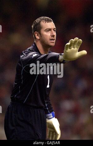 Soccer - European Championships 2004 Qualifier - Group Nine - Wales v Italy. Paul Jones, Wales Stock Photo