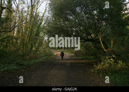 Landmarks - Nunhead Cemetery - Southwark Stock Photo