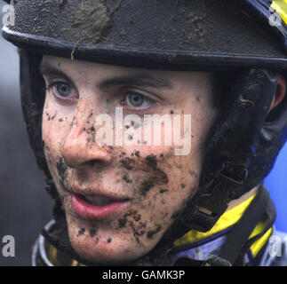 Horse Racing - Newbury Racecourse Stock Photo