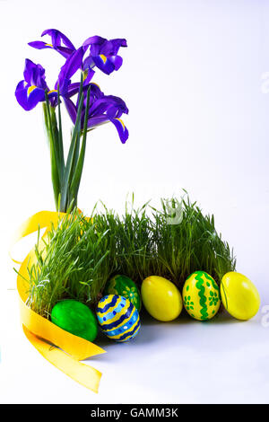 Easter eggs in fresh green grass with a yellow satin ribbon and purple iris flowers on white background. Easter background. East Stock Photo