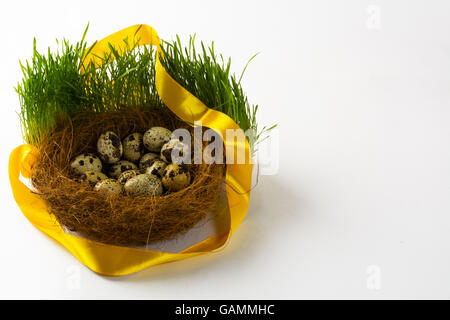 Nest with eggs of the wild bird in fresh green grass with a yellow satin ribbon on white background. Easter background. Easter s Stock Photo