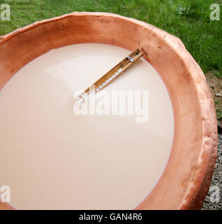thermometer in a copper pot with the milk and the whey for the production of cheese Stock Photo