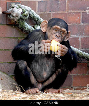 Warm weather Stock Photo