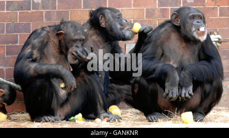 Warm weather Stock Photo