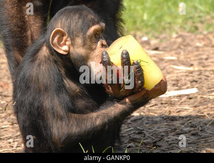 Warm weather Stock Photo