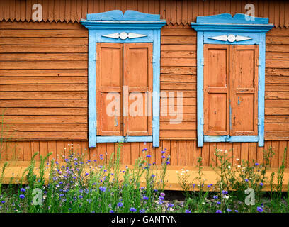 Two ornate hard carved wooden window frames in blue paint with closed orange hatches on a wood house exterior wall with flora Stock Photo