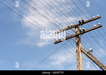 Old wooden electricity pylon with power lines and porcelain insulators against a summer sky background Stock Photo