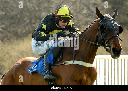 Horse Racing - Puffa Childrens Day - Exeter Racecourse Stock Photo - Alamy