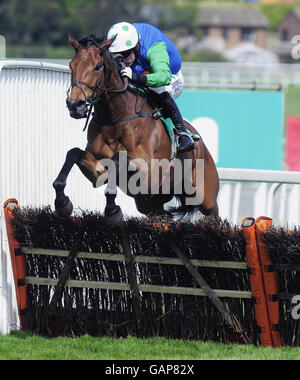 Horse Racing - Bet365 Gold Cup Meeting - Day Two - Sandown Racecourse. Mous of Men and Timmy Murphy jump the last to win The bet365 Best Odds Guaranteed Handicap Hurdle at Sandown Racecourse. Stock Photo