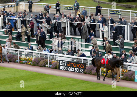Horse Racing - Sandown - attheraces Gold Cup Celebration Meeting. Punters gather in the parade rin Stock Photo