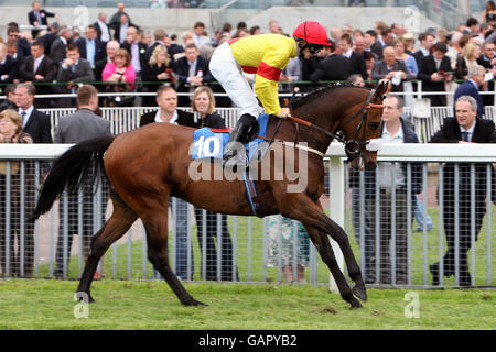 Horse Racing - 2008 May Festival - Emirates Airline Yorkshire Cup - York Racecourse. Sir Xaar ridden by jockey Paul Mulrennan competes in the Emirates Airline Yorkshire Cup at York racecourse Stock Photo