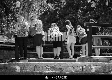 Young people looking at something interesting during the touristic trip Stock Photo