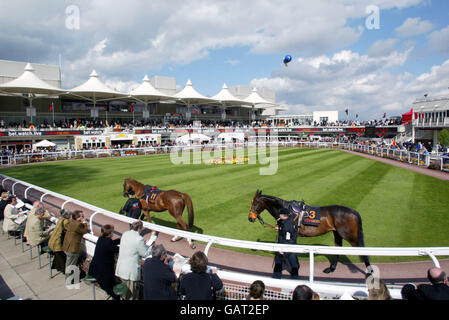 Horse Racing - Sandown - attheraces Gold Cup Celebration Meeting. The Parade Ring at Sandown Park Stock Photo