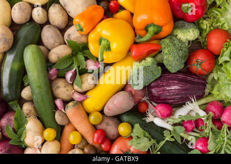 Various vegetables arranged in a colorful large group as a natural still life for organic healthy and vegetarian food Stock Photo