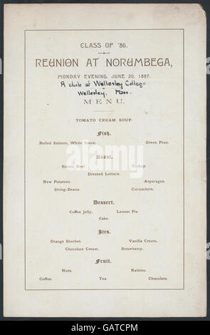 REUNION OF CLASS OF '86 (held by) WELLESLEY COLLEGE CLUB (at)  WELLESEY, MA  ( Hades-269624-474274) Stock Photo