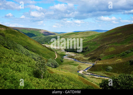 Hareden Valley in the Trough of Bowland, Lancashire. UK. Stock Photo