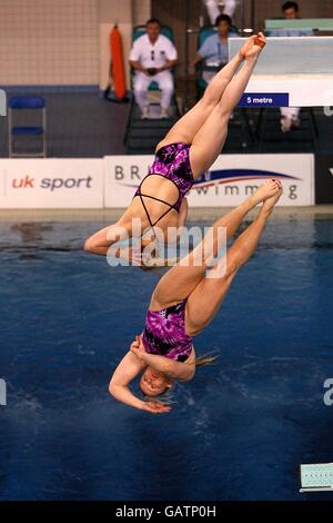 Diving - Fina Diving World Series 2008 - Day One - Ponds Forge Stock Photo