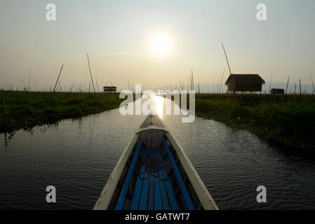 the floating gardens at the Inle Lake in the Shan State in the east of Myanmar in Southeastasia. Stock Photo