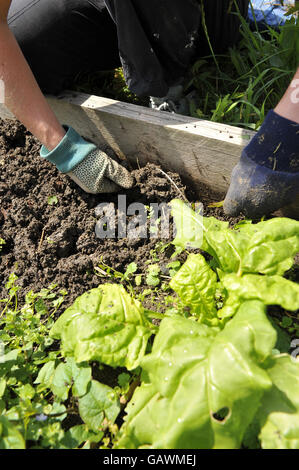 Weeding the vegetable plots at Ashley Vale allotments. Photo credit should read: Ben Birchall/PA Stock Photo