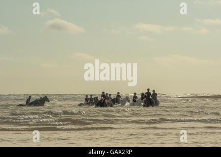 Holkham beach, Norfolk, UK. 6th July, 2016. The Household Cavalry Mounted Regiment has temporarily moved 150 horses and 150 men to Bodney Camp in Thetford, Norfolk, which will be their temporary home for 2 ½ weeks while they conduct their Regimental Training camp. One of the highlights is the chance to canter along Holkham Beach and frolic in the waves. Credit:  Major Gilbert/Alamy Live News Stock Photo