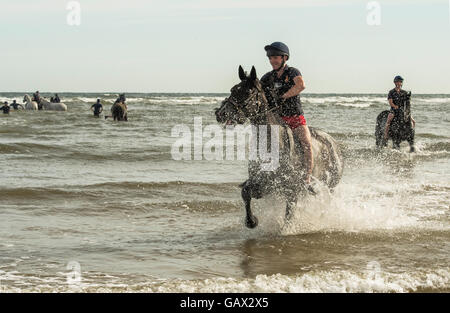 Holkham beach, Norfolk, UK. 6th July, 2016. The Household Cavalry Mounted Regiment has temporarily moved 150 horses and 150 men to Bodney Camp in Thetford, Norfolk, which will be their temporary home for 2 ½ weeks while they conduct their Regimental Training camp. One of the highlights is the chance to canter along Holkham Beach and frolic in the waves. Credit:  Major Gilbert/Alamy Live News Stock Photo