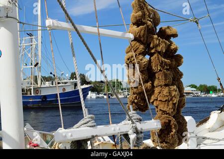Worlds Finest Sponges hanging from a boat at the docks in a Greek Community in Tarpon Springs, Florida. Stock Photo
