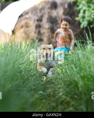 Little girl Racing the Dog Stock Photo